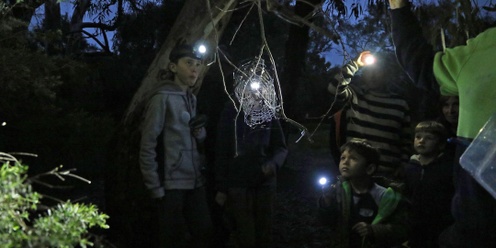 Nature by Night at Willunga