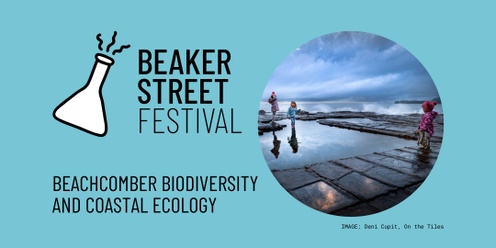 Beachcomber Biodiversity and Coastal Ecology
