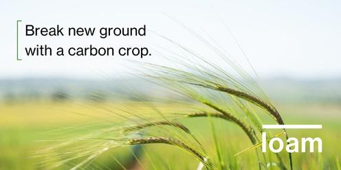 Lameroo - Soil Carbon Opportunities for Cropping and Mixed Farms 