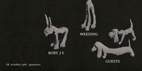 Rory J S, Guests, Weeding DJ 