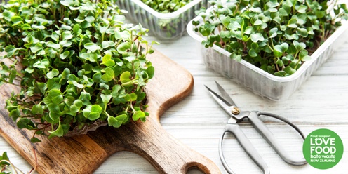 Sprout to Plate: A Microgreens Growing Workshop - Waitākere Central Library