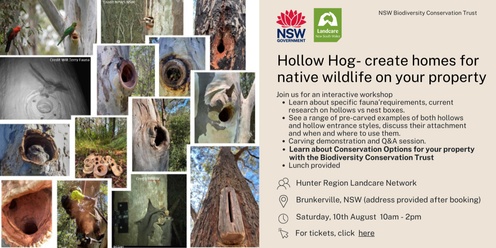 Hollow Hog - create homes for native wildlife on your property