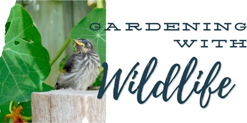 Gardening with Wildlife