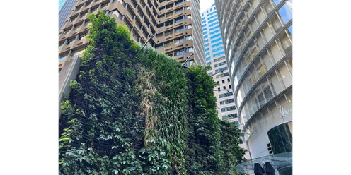 Vertical Green: Integrating Nature into Architecture for a Greener and Healthier Future