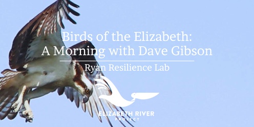 Birds of the Elizabeth: A Morning with Dave Gibson