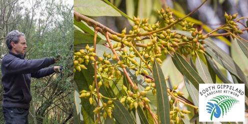 Native Seed Collection Workshop