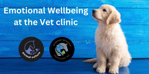 Patient Emotional Wellbeing in the Veterinary Clinic 