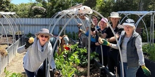 Laurel Avenue Community Garden Open Day and Plant Sale