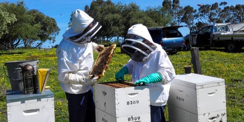 Hill Top Hives - Introduction to Beekeeping 