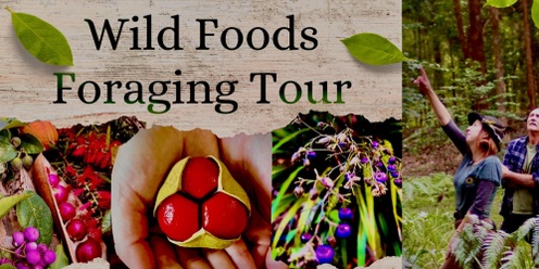 Wild Foods Foraging Tour