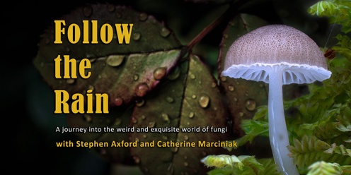 Follow the Rain - Feature Documentary about the Wonder of Fungi - STANLEY