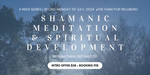 Shamanic Meditation & Spiritual Development (4 week series)