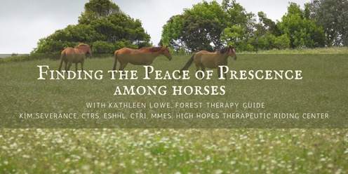 Finding the Peace of Presence Among Horses 