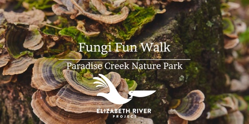 Fungi Fun Walk