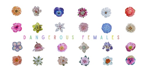 Dangerous Females x Australian Artist Collective Launch Night