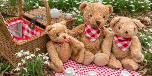 Teddy Bears Picnic (Surrogacy and Donor Awareness Week)