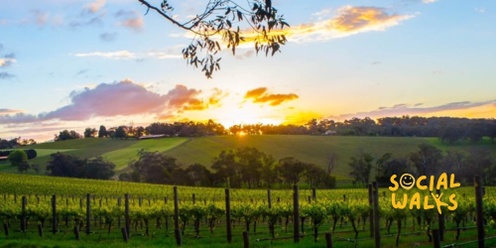 Melbourne Social Walks - Limo Bus Winery Tour Sunday Sesh! (3 Tastings + Lunch Included)