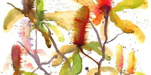 Luscious Natives in Watercolour and Ink