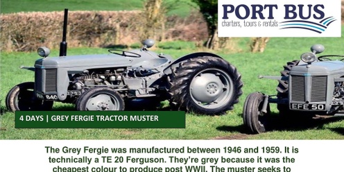 Grey Fergie Tractor Muster