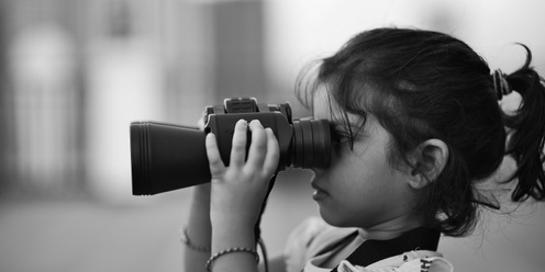 What bird is this? Bird identification workshop for children (6-13 years)