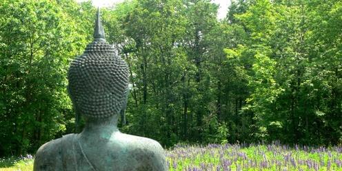 Walking the Buddha’s path to freedom: five-day study and practice retreat 2022