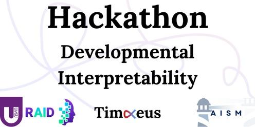 Hackathon - Developmental Interpretability