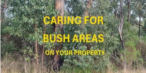 Caring for Bush Areas on your Property