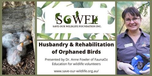 Husbandry and Rehabilitation of Orphaned Birds presented by Dr. Anne Fowler