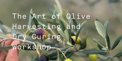 The Art of Olive Harvesting and Dry Curing Workshop