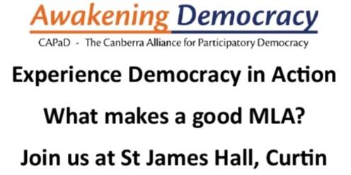 Democracy in Action - What makes a good MLA?