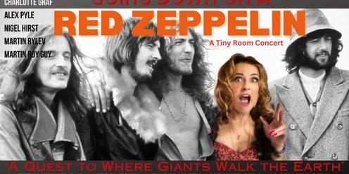 Red Zeppelin  - Tiny Room Concert - Charlotte Graf