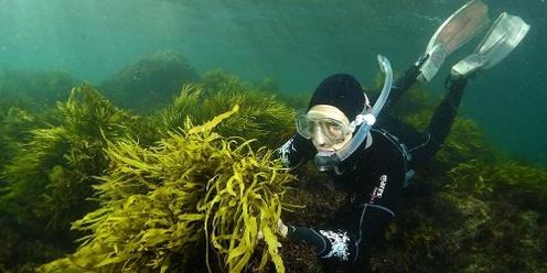Crayweed: the restoration of Sydney's underwater forests talk