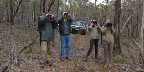 Binoculars and Birdwatching School Holiday Program