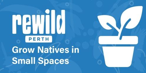 ReWild Workshop: Grow Natives in Small Spaces (Lockridge)
