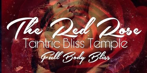 The Red Rose: Tantric Bliss Temple Night 
