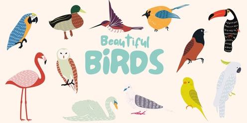Thurs 28th - Beautiful Birds