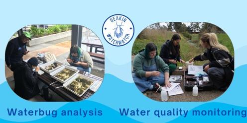 Deakin Waterwatch Invertebrate Analysis Session