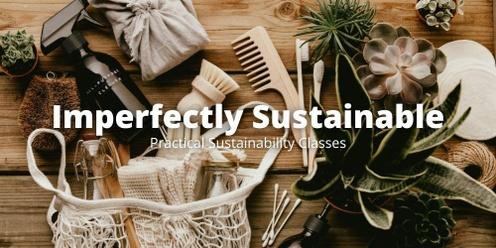 Imperfectly Sustainable: Gardening on a Budget (family session)