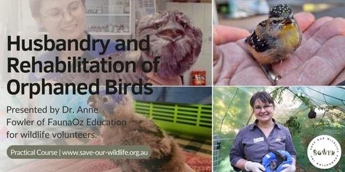 Husbandry and Rehabilitation of Orphaned Birds presented by Dr. Anne Fowler
