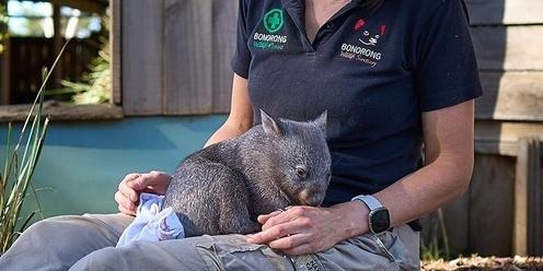 Virtual Bonorong Wildlife Rescue Training 3rd March 2024