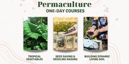 Free Permaculture Course- Kakuma