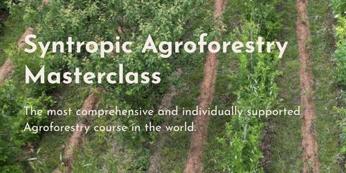 The Syntropic Agroforestry MASTERCLASS