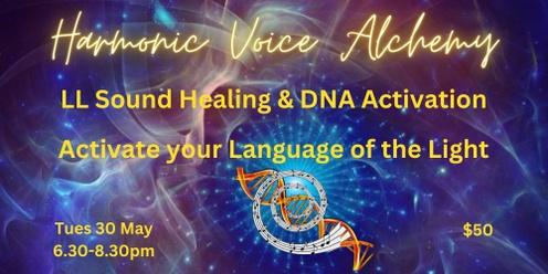  Language of Light Healing & Activation