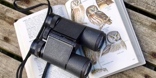 An Introduction to Birdwatching 