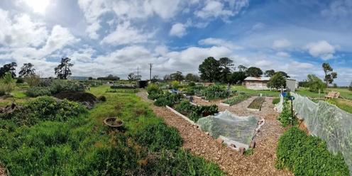 MPPN Permaculture Week - Down's Community Farm