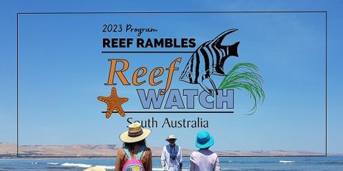 Reef Rambles at Hallett Cove - Feb 26