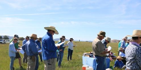 Grazing for Growth: Utilising the Australian Feedbase Monitor for Stock Containment Decisions.
