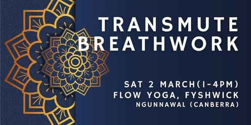 Transmute: Group Breathwork Journey