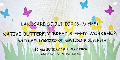 Native Butterfly 'Breed And Feed' Workshop