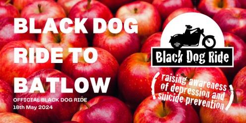 Black Dog Ride to Batlow 2024